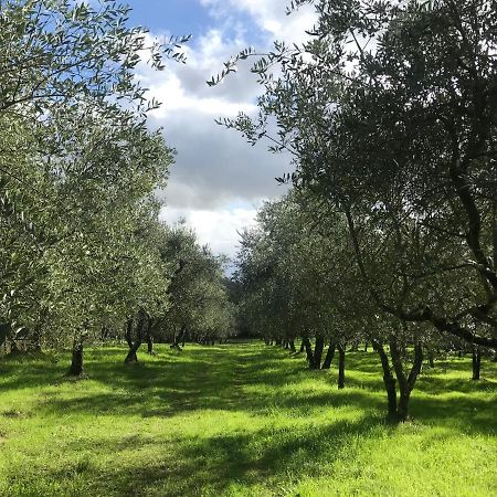 Agriturismo Podere I' Caldino Troghi Kültér fotó