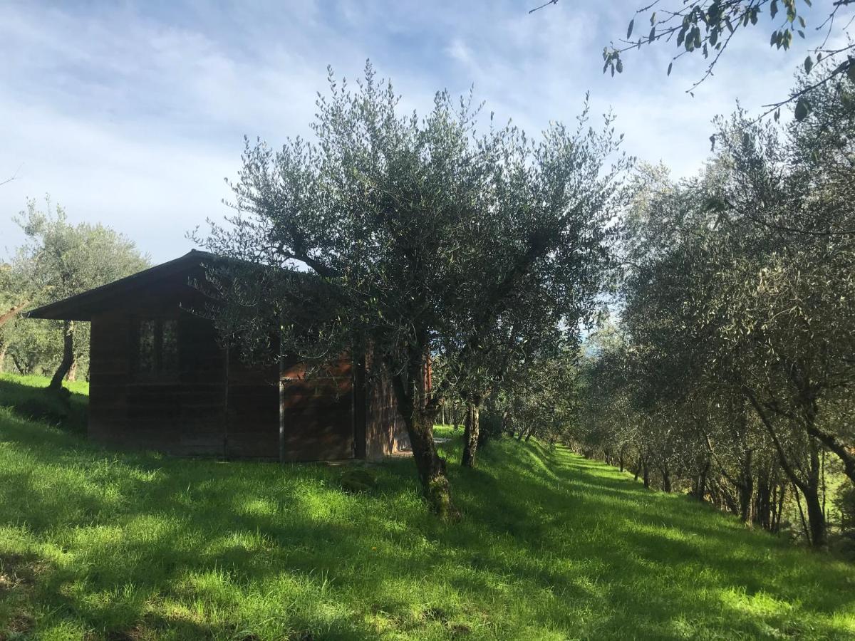 Agriturismo Podere I' Caldino Troghi Kültér fotó